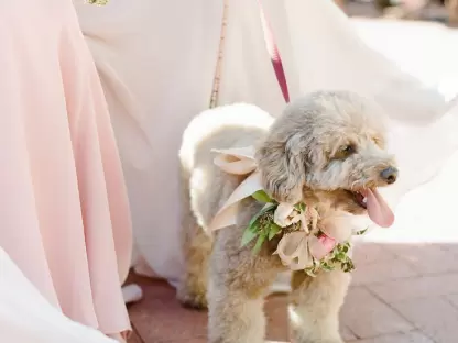 Flower pet accessories