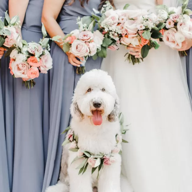 Handmade Boutique Flower Accessories For Your Pets