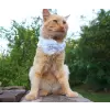 Flower accessory for dog or cat