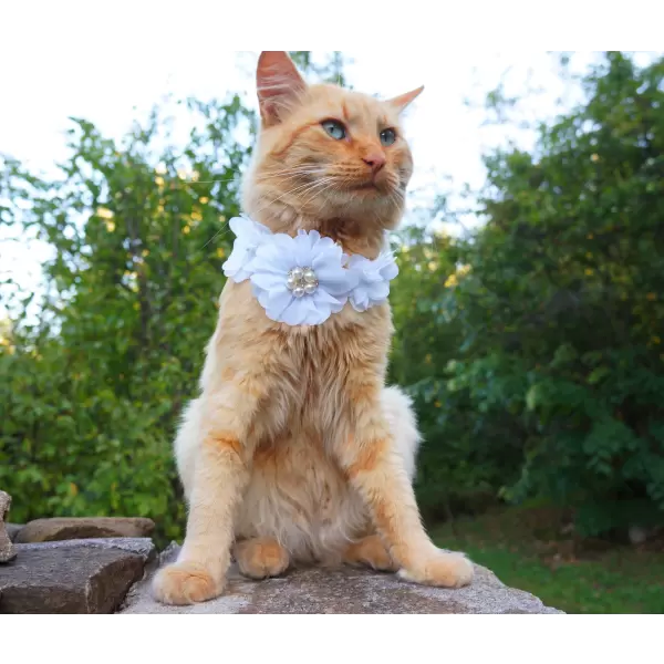 Flower accessory for dog or cat