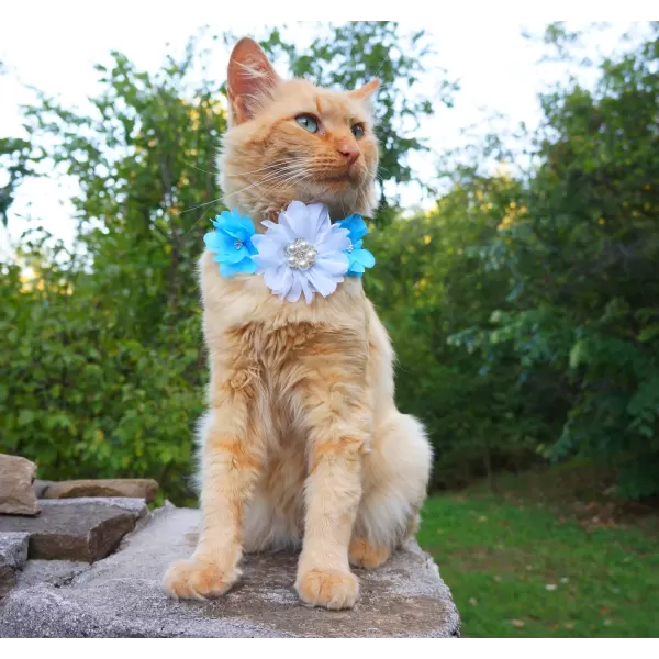 Flower accessory for dog or cat