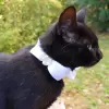 White satin accessory