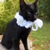 White Flower Accessory