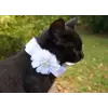 White Flower Accessory