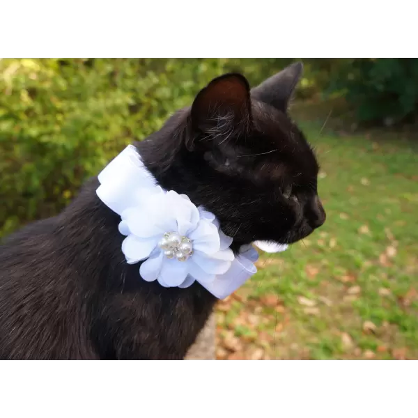 White Flower Accessory