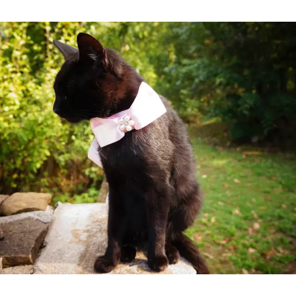Pet satin bow in diferent colors