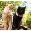 Pet satin bow in diferent colors