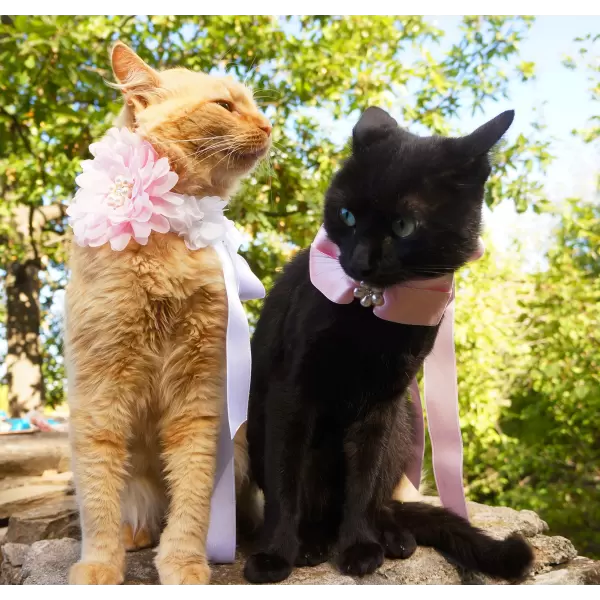Pet satin bow in diferent colors