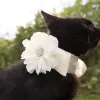 Accessory with ivory flower 