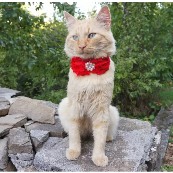 Accessory with Flowers and Pearl Center for Dogs or Cats
