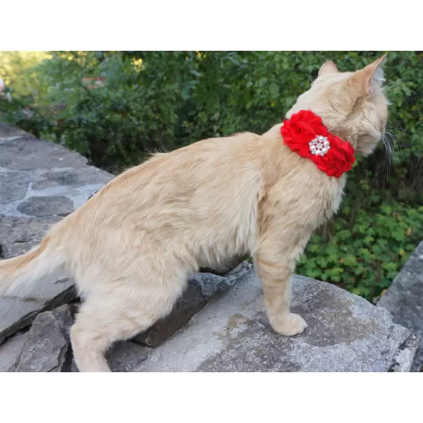 Accessory with Flowers and Pearl Center for Dogs or Cats
