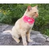 Accessory with Flowers and Pearl Center for Dogs or Cats