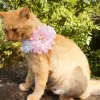 Accessory with flowers in pink and white