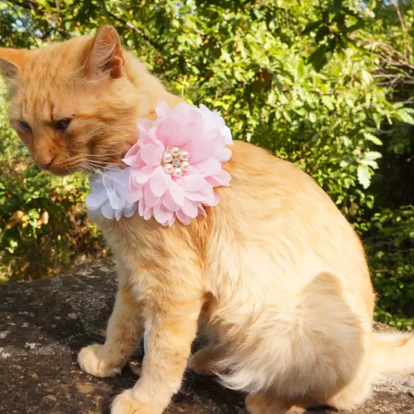 Accessory with flowers in pink and white