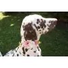 Pet Flower Accessory in pink 