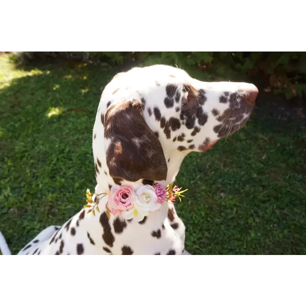 Pet Flower Accessory in pink 