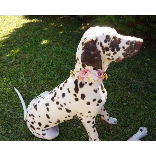 Pet Flower Accessory in pink 