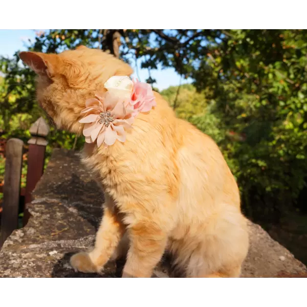 Pet Flower Accessory 