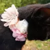 Flower accessory for dog or cat