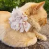 Champagne flower accessory