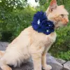 Accessory with Navy Blue Flowers for Dog or Cat