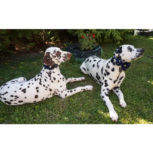 Accessory with Navy Blue Flowers for Dog or Cat