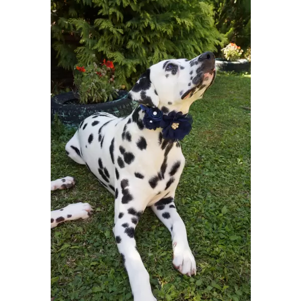 Accessory with Navy Blue Flowers for Dog or Cat